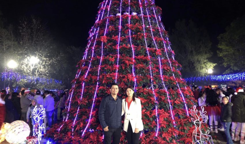 ¡¡¡ENCENDIDO DE PINO NAVIDEÑO!!! BUSTAMANTE, TAM 2023.