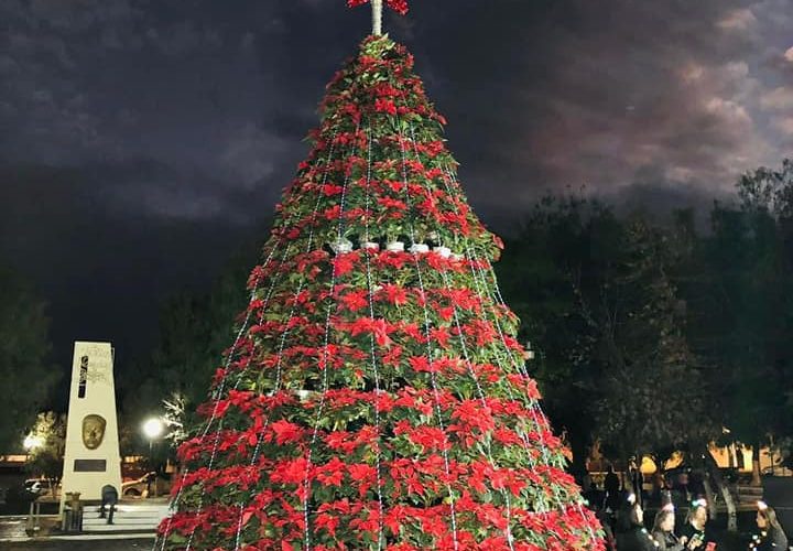 ¡Feliz Año Nuevo 2024! Que este año esté lleno de éxito, abundancia, prosperidad y sobre todo, mucha salud. ¡Juntos lograremos grandes cosas!. #Bustamante ¡Camina hacia adelante!